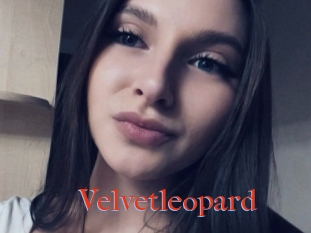 Velvetleopard
