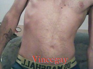 Vincegay