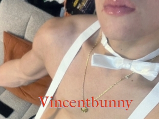 Vincentbunny