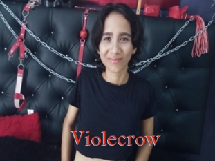 Violecrow