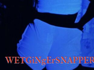WETGiNgErSNAPPER