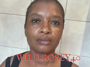 WILD_ROSEY40