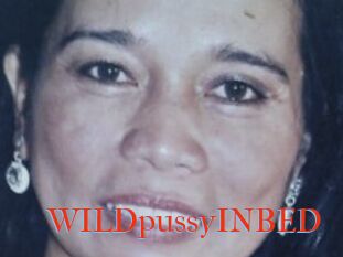 WILDpussyINBED