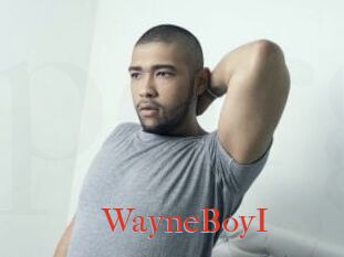 WayneBoyI