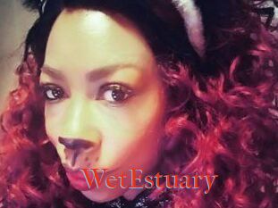 WetEstuary
