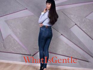 WhatIsGentle