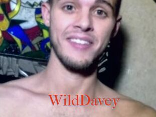 WildDavey