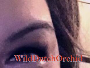 WildDutchOrchid