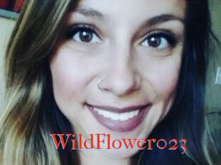 WildFlower023