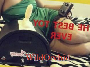 WildOrchid_