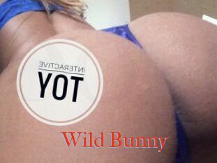 Wild_Bunny_