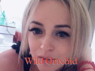Wild_Orrchid