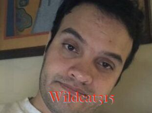 Wildcat315