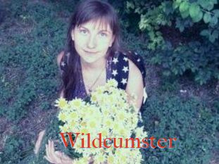 Wildcumster