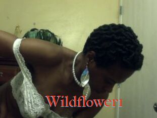 Wildflower1
