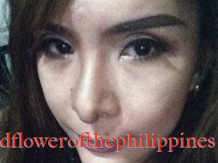 Wildflowerofthephilippines