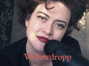 Willowdropp