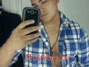 Wolfboy1213