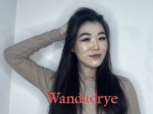 Wandadrye