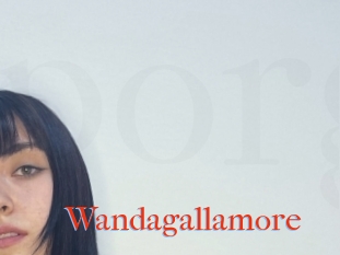 Wandagallamore