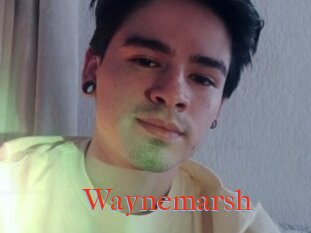 Waynemarsh