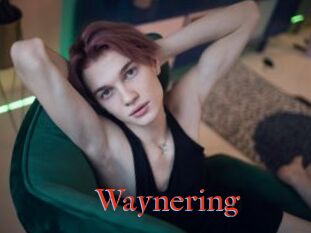 Waynering