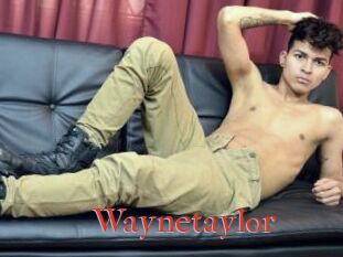 Waynetaylor