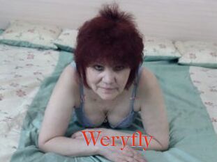 Weryfly