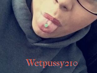 Wetpussy210