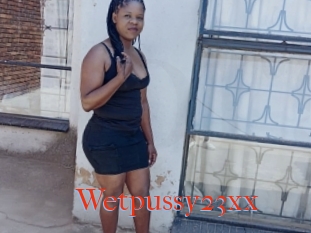 Wetpussy23xx