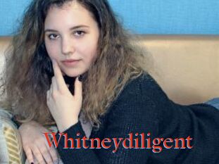 Whitneydiligent