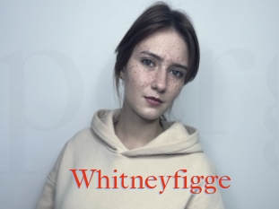 Whitneyfigge