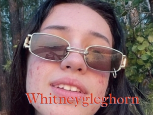 Whitneygleghorn