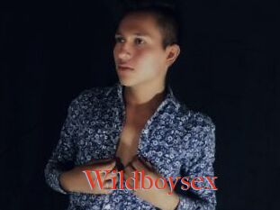 Wildboysex