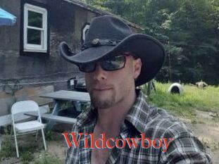 Wildcowboy
