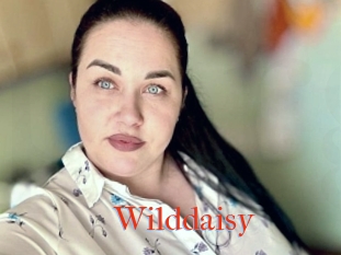 Wilddaisy