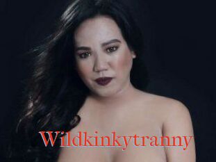 Wildkinkytranny