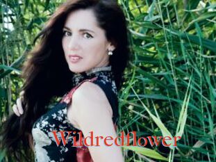 Wildredflower