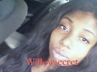 Willow_secret