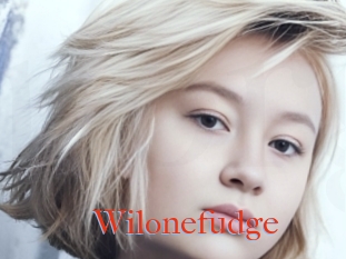 Wilonefudge