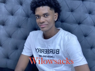 Wilowsacks