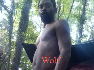 Wolf