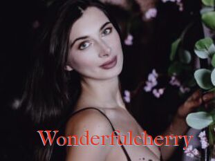 Wonderfulcherry