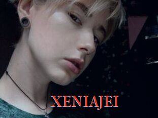 XENIA_JEI