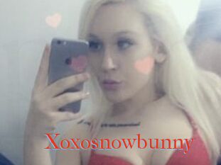 Xoxosnowbunny