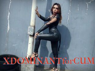 XDOMINANTforCUMx