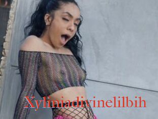 Xyliniadivinelilbih