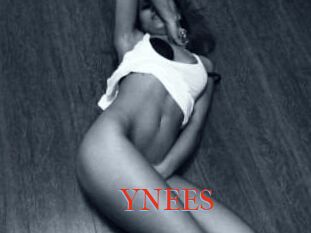 YNEES