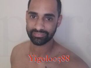 Yigolo0388