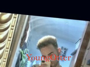 YoungOtter